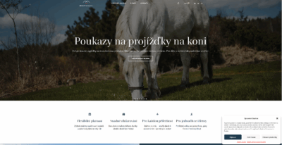 reference mujwebsnadno.cz